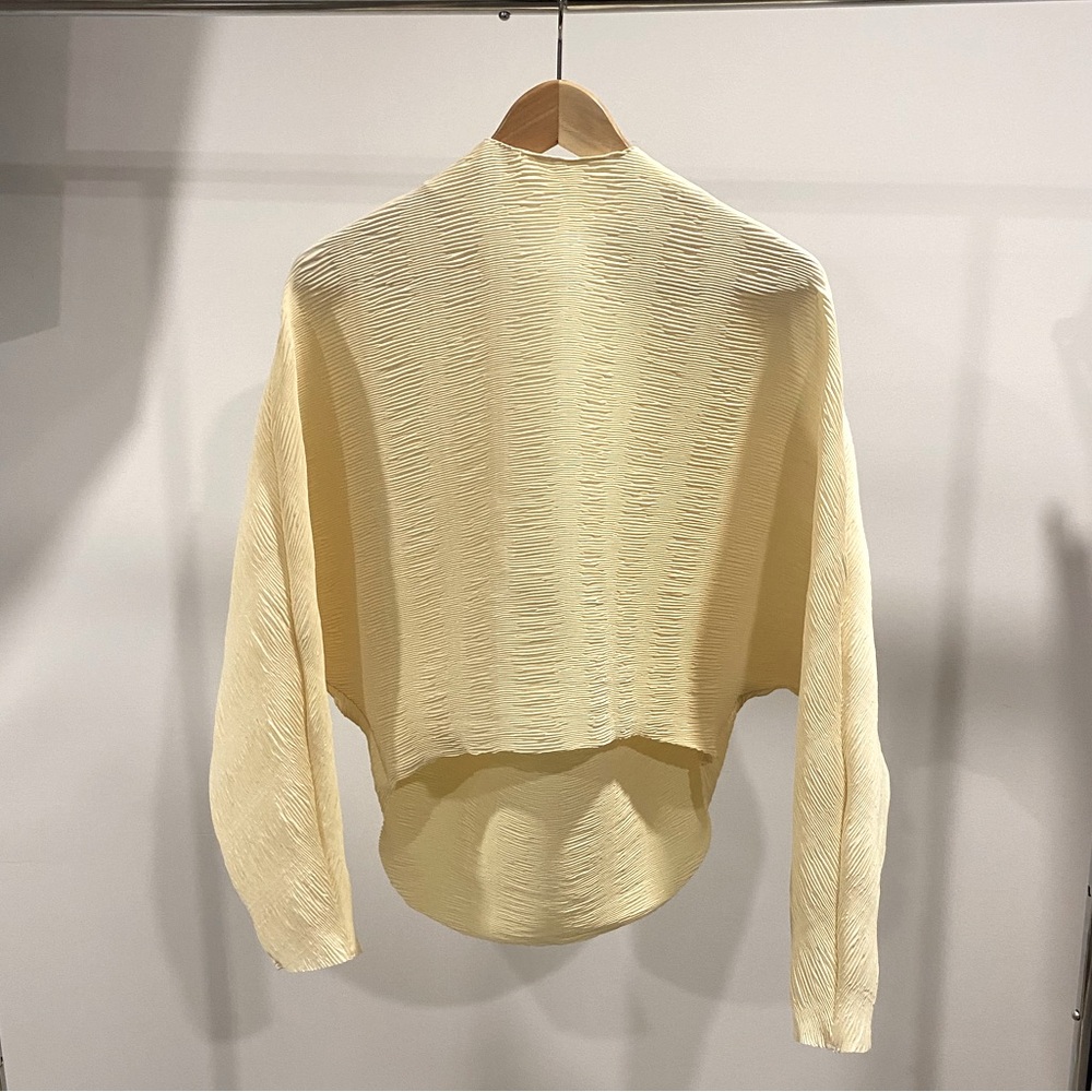 Rohe pleated boxy top, size 36
